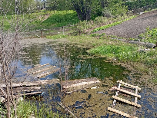 Кинешемец 3 года борется с подтоплением на огороде
